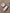 1ee1b564d00383b11cc2db2ef9c4128d
