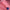 9201931236ddc0f6cd2fde5925ba94c5