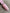 84ec8842205bdcaed37b39441853571d